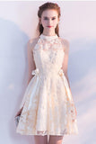 Cute A Line Lace Short High Neck Homecoming Dresses,Sweet 16 Dress HZ0527