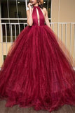 Princess Ball Gown High Neck Backless Burgundy Tulle Long Prom Dress HZ0527