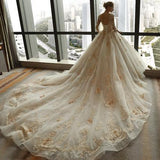 3/4 Sleeve Lace Appliques Tulle Ball Gown Plus Size Wedding Dress HZ0527