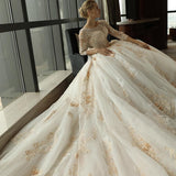 3/4 Sleeve Lace Appliques Tulle Ball Gown Plus Size Wedding Dress HZ0527