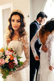 Sexy Mermaid Long Sleeves V Neck White Lace Backless Wedding Dress HZ0527