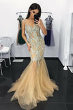 Charming Mermaid Illusion Neck Tulle Long Prom Dress with Appliques Sequins HZ0527