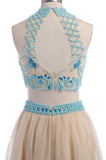 Two Pieces Halter Backless Beautiful Long Prom Dresses HZ0527