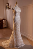 Lovely Lace Mermaid Halter Open Back Wedding Party Dress, Lace Long Formal Dress HZ0527