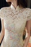 Light Champagne Lace High Neckline Wedding Party Dress, Homecoming Dress HZ0527