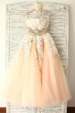 Strapless Lace Open Back Modest Prom Party Dresses HZ0527