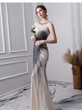 Elegant Mermaid Long Tulle Beading Prom Dresses HZ0527