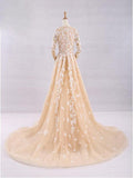 Pretty A-Line V-Neck Long Sleeves Tulle Appliques Floor Length Prom Dresses HZ0527