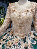 Long Sleeve Ball Gown Wedding Dress Appliques Beading Quinceanera Dresses HZ0527
