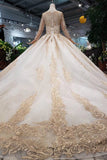 New Arrival Prom Dresses Long Sleeves Ball Gown Scoop With Applique Beads Lace Up Back HZ0527