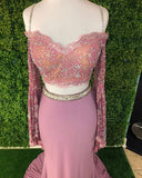Promfast Chic Sheath Spaghetti Straps Pink Long Sleeves Prom Dresses Evening Dress HZ0527