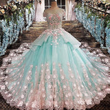 Princess Ball Gown Flower Appliques Prom Dress,Quinceanera Dresses HZ0527