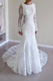 Custom Made Trumpet Mermaid Backless Long Sleeves Lace Wedding Dress HZ0527