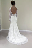 Custom Made Trumpet Mermaid Backless Long Sleeves Lace Wedding Dress HZ0527