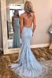 Blue Lace Applique Mermaid Sexy Cheap Long Prom Dress HZ0527