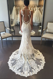 Luxurious Ivory Lace Open Back Mermaid V Neck Beach Wedding Dress HZ0527