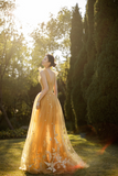 Yellow Tulle Lace Long Prom Dresses, A Line Evening Gowns HZ0527