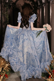 Pretty Light Blue Floral Short Sleeves Long Prom Dress, Light Blue Evening Dress HZ0527